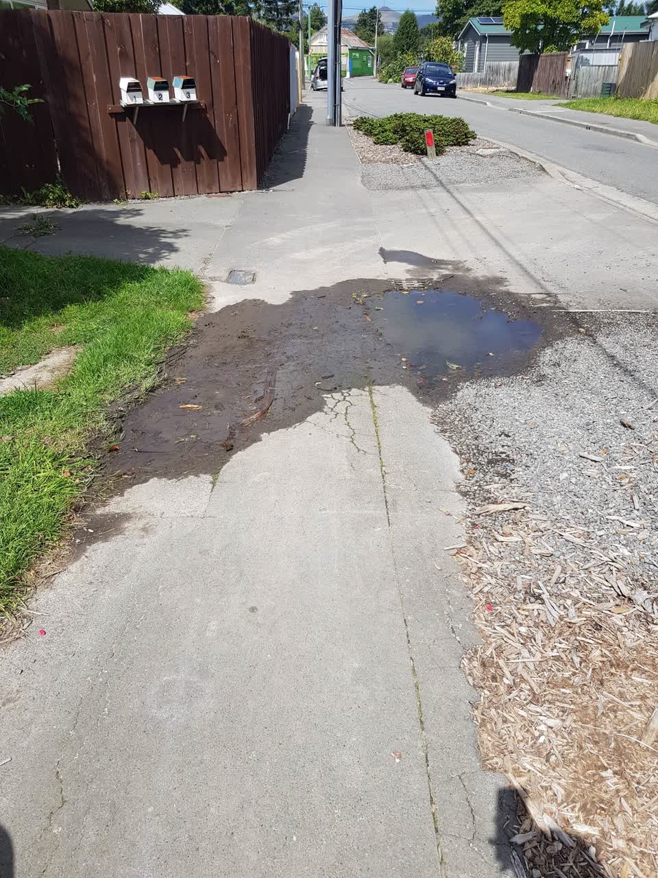 The photograph attached to this water leak report
