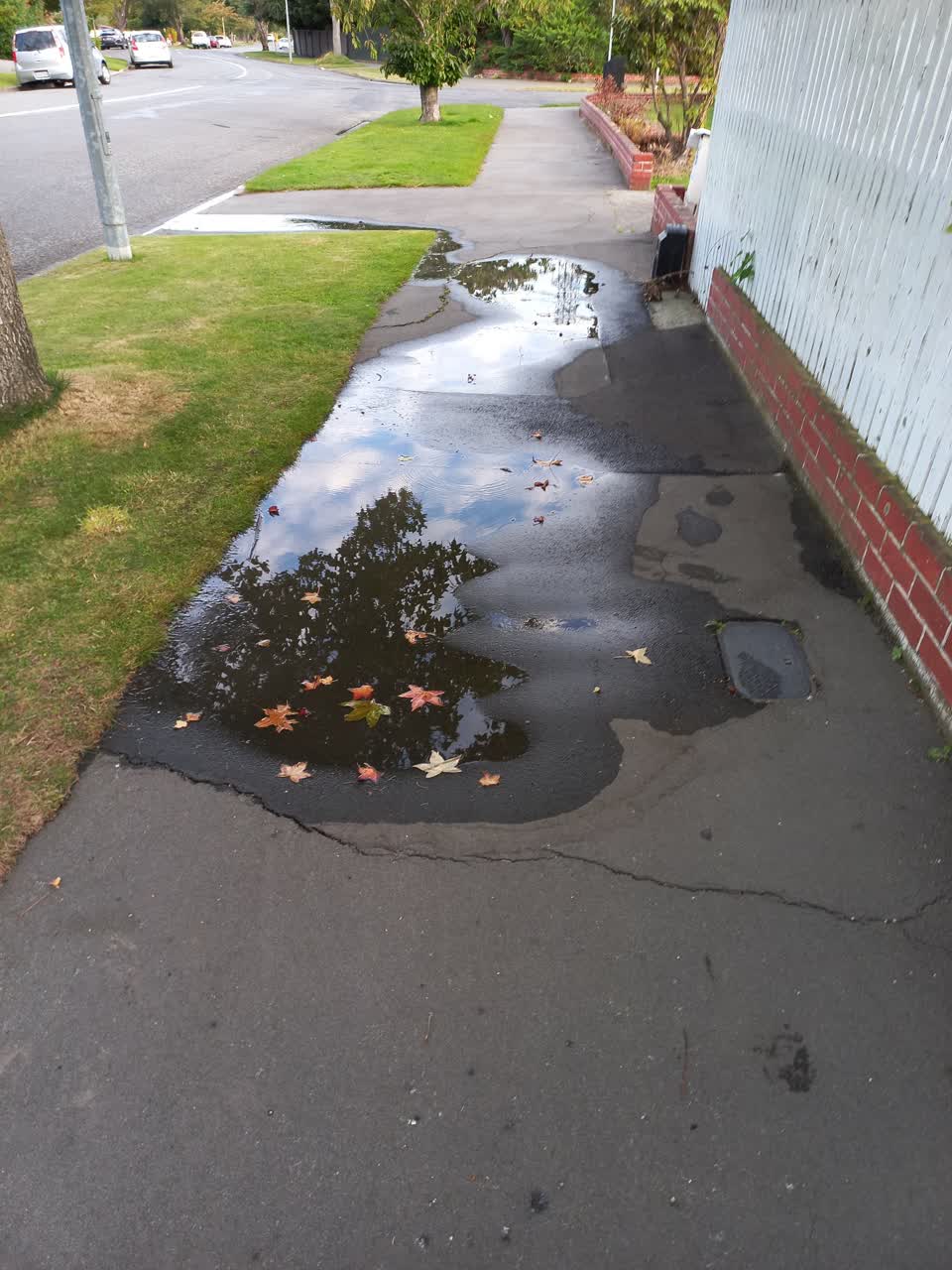 The photograph attached to this water leak report
