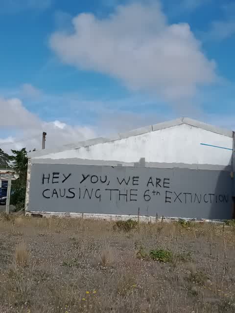Graffiti, a report photo
