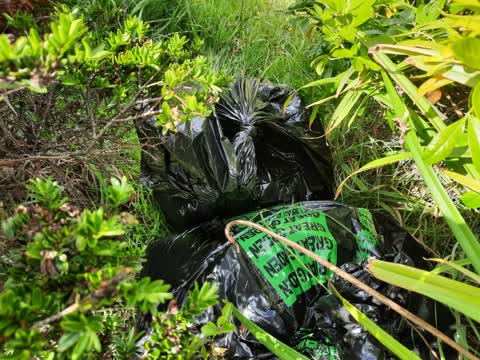 Rubbish/Recycling, a report photo