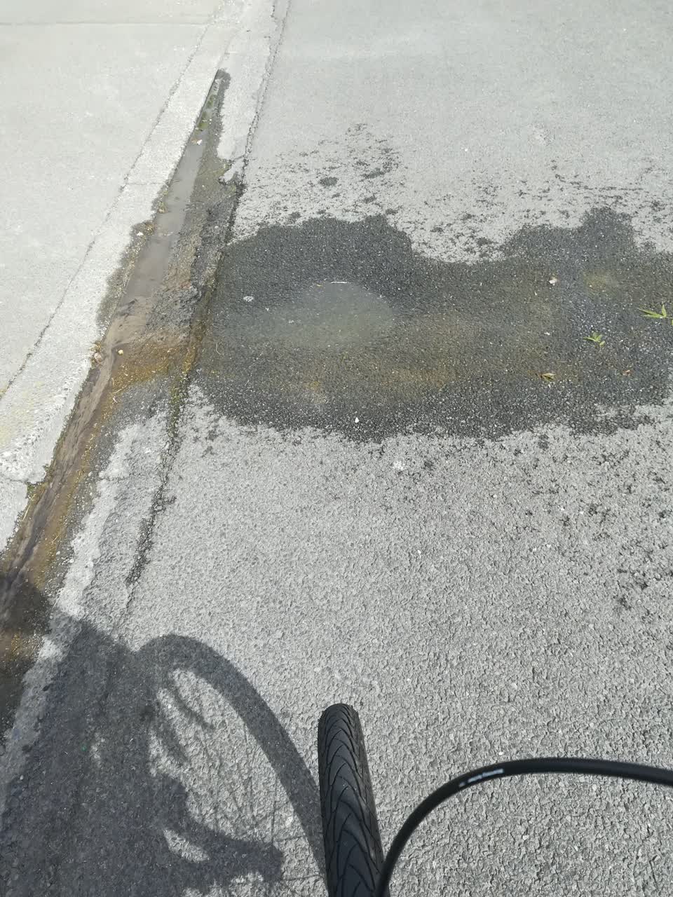 The photograph attached to this water leak report