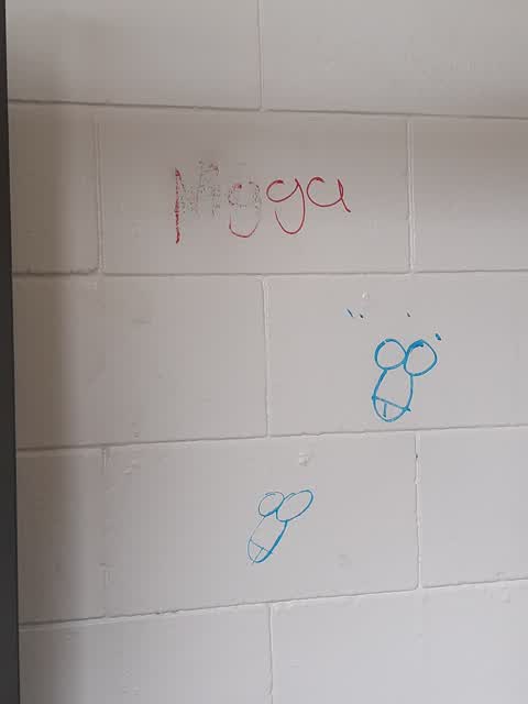 Graffiti, a report photo
