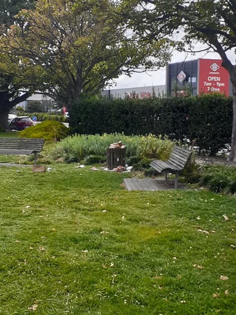 Rubbish/Recycling, a report photo