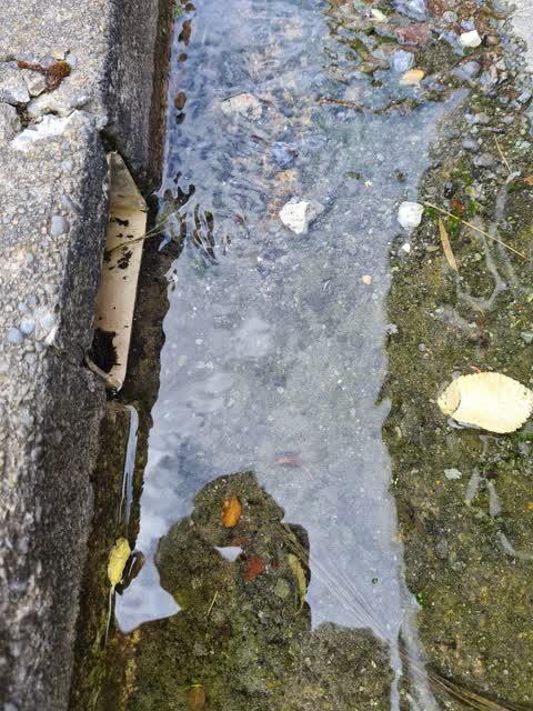 Wastewater/Stormwater, a report photo