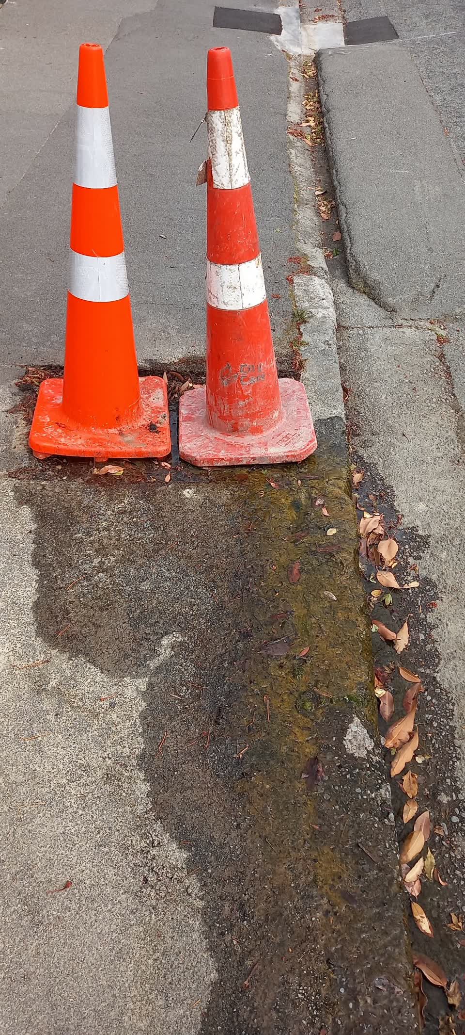 The photograph attached to this water leak report
