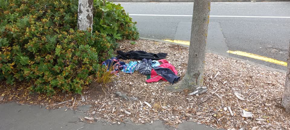 The photograph attached to this rubbish/recycling report