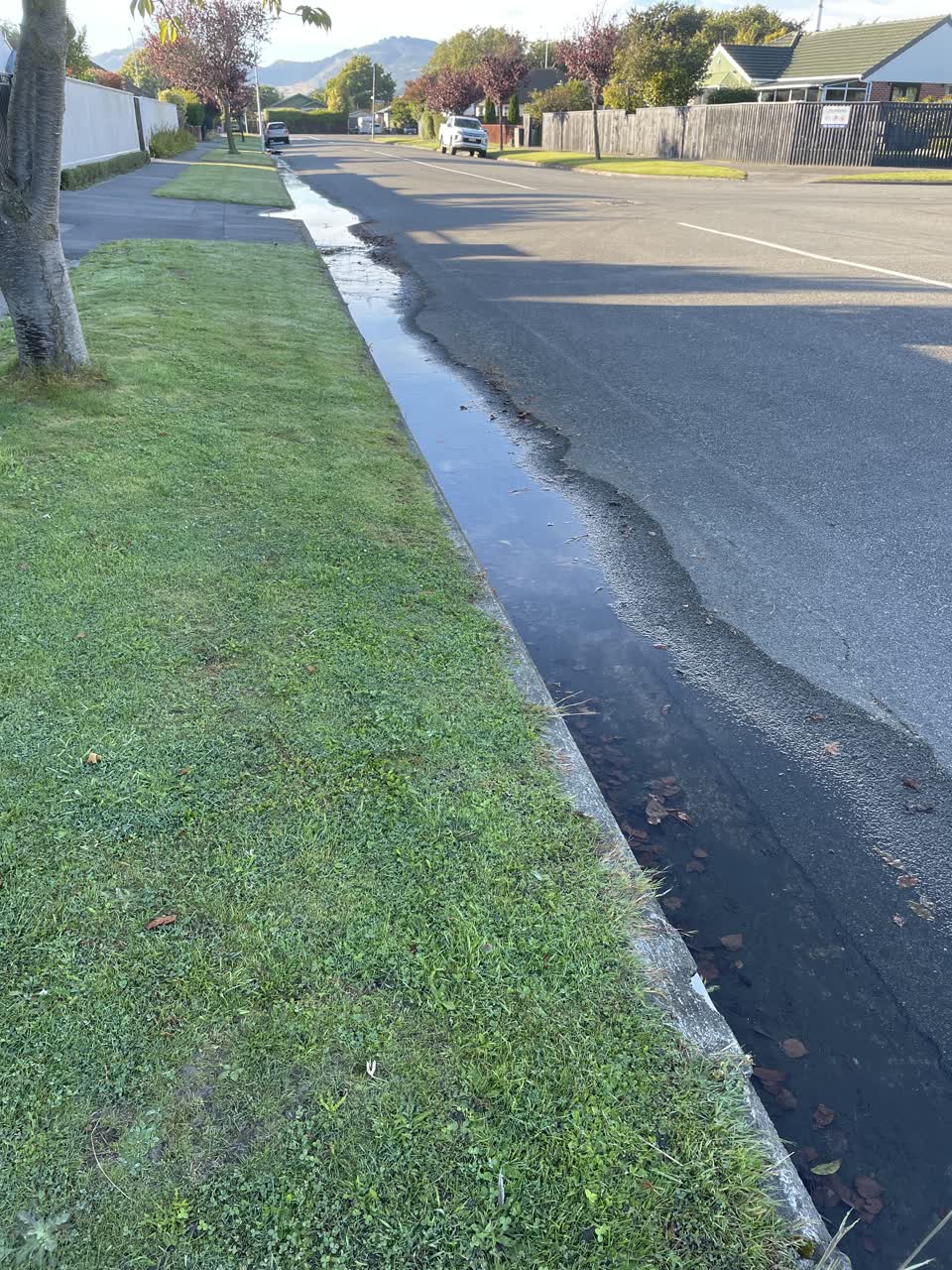 The photograph attached to this water leak report