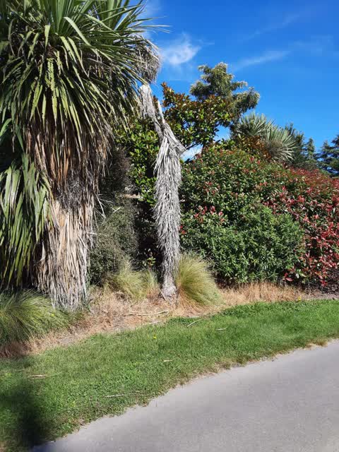 Parks, a report photo