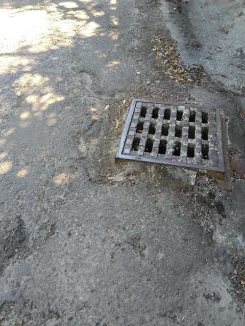 Roading/Streets, a report photo