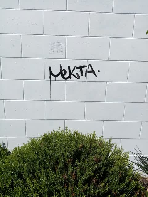 Graffiti, a report photo