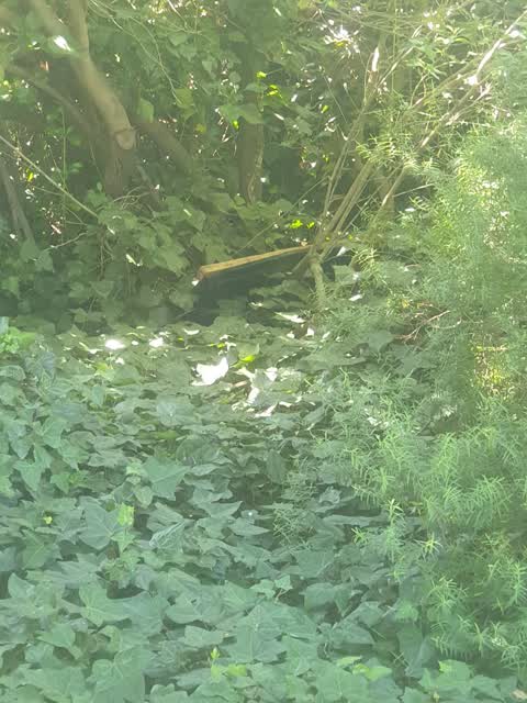 Rubbish/Recycling, a report photo