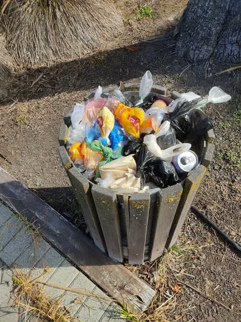 Rubbish/Recycling, a report photo