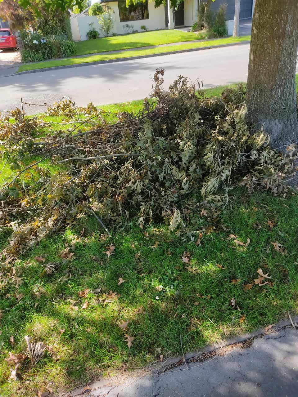 The photograph attached to this parks report