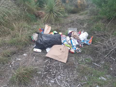 Rubbish/Recycling — a report photo