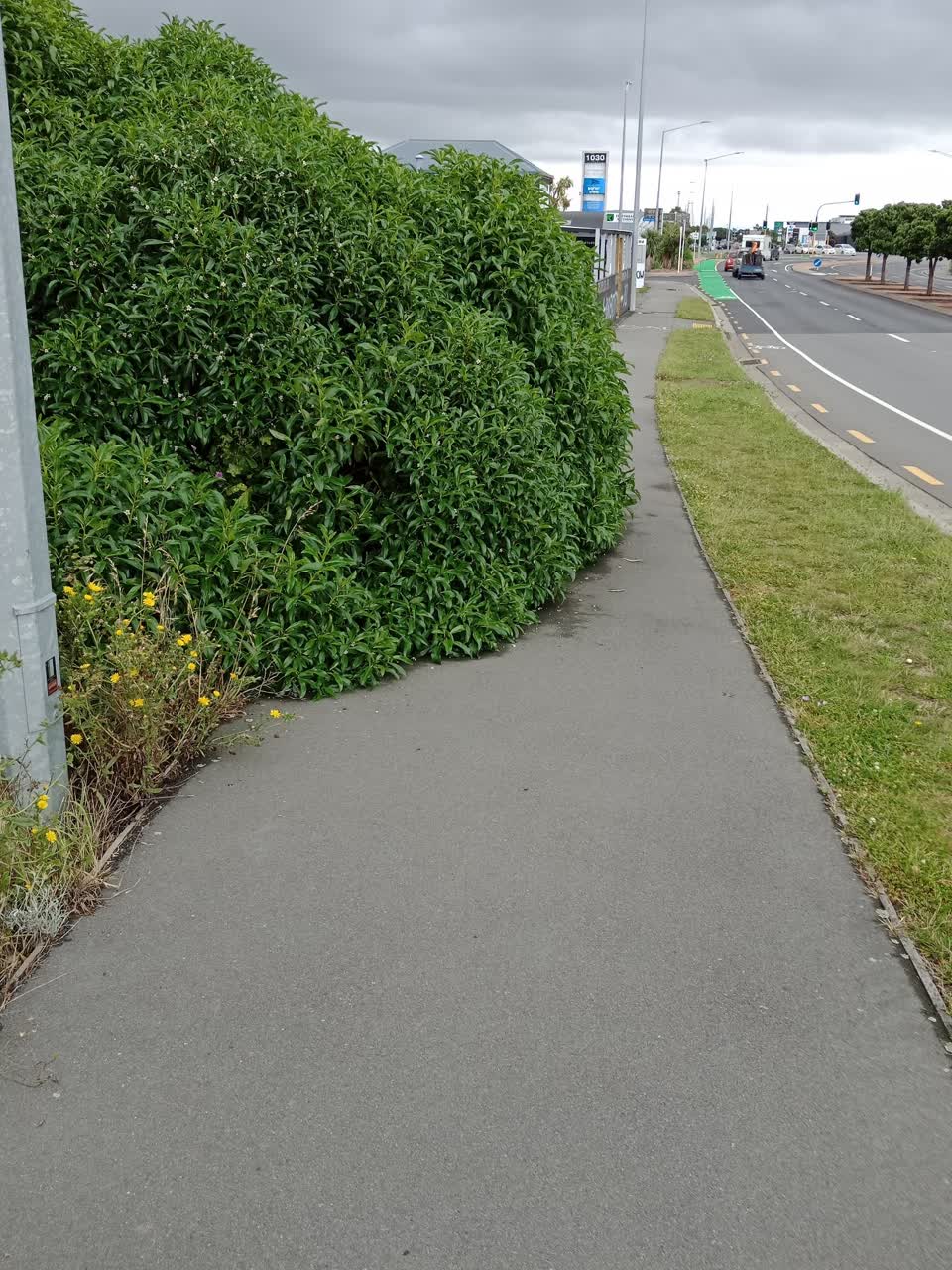 The photograph attached to this roading/streets report