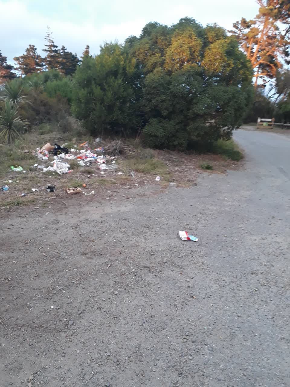 The photograph attached to this rubbish/recycling report