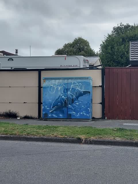 Graffiti, a report photo
