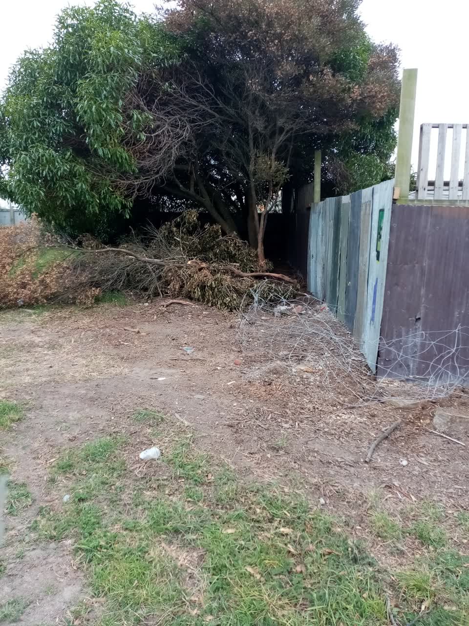 The photograph attached to this parks report