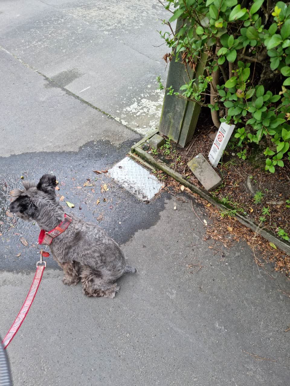 The photograph attached to this water leak report