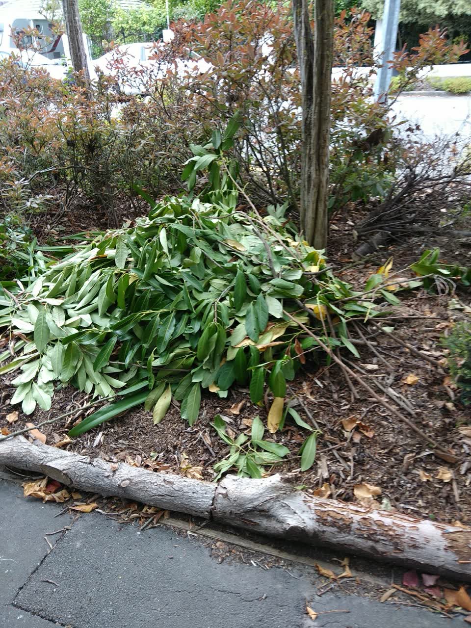 The photograph attached to this roading/streets report