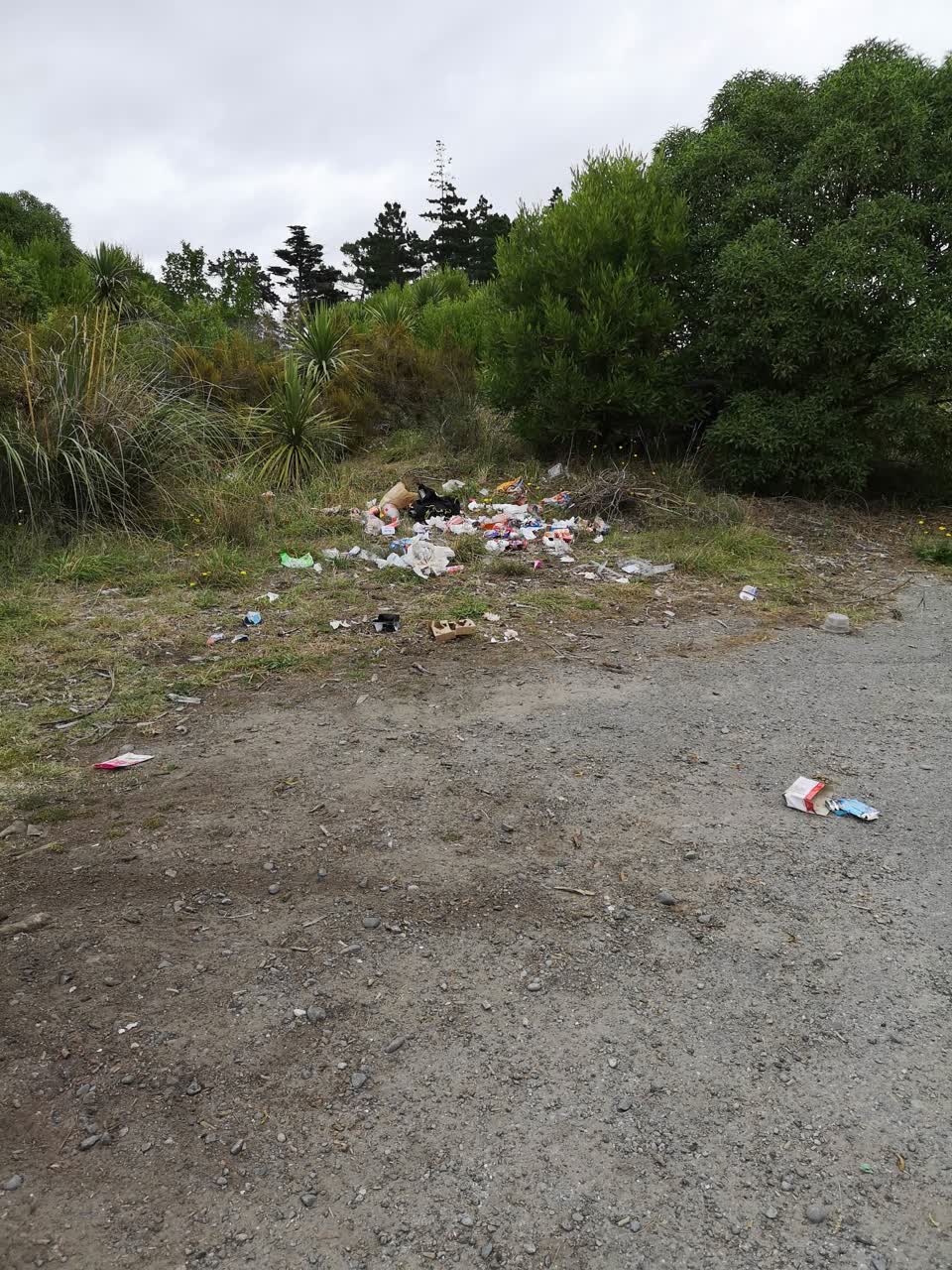 The photograph attached to this rubbish/recycling report