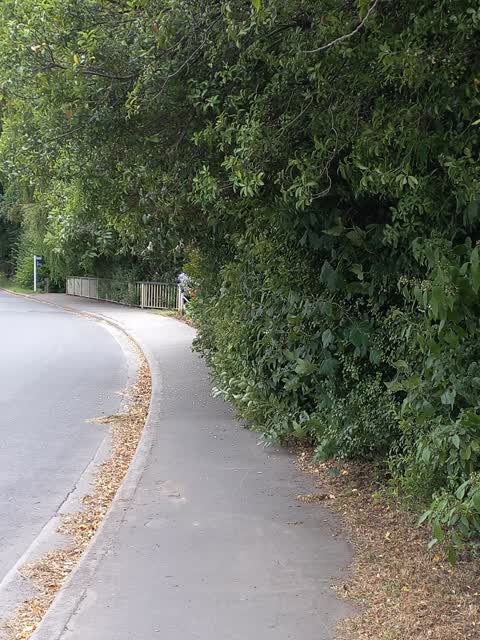 Roading/Streets, a report photo