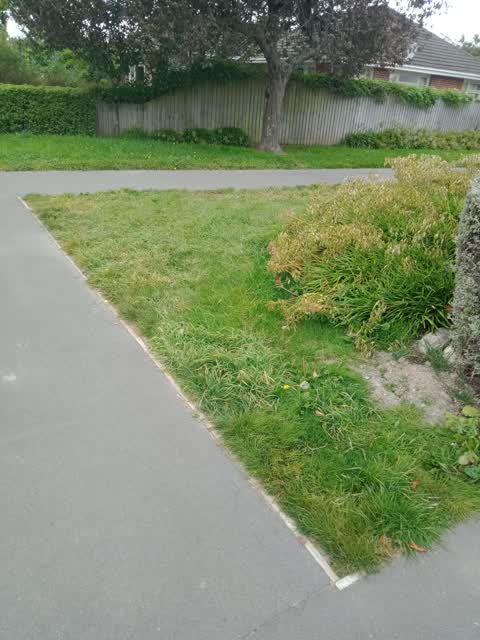 Parks, a report photo