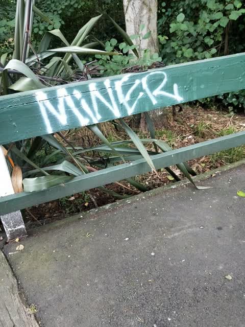 Graffiti, a report photo