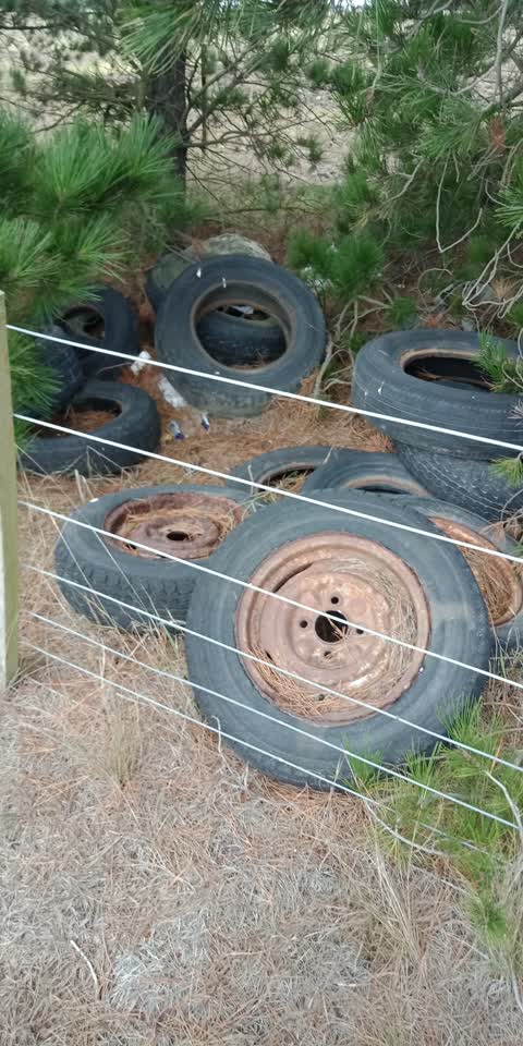 Rubbish/Recycling, a report photo