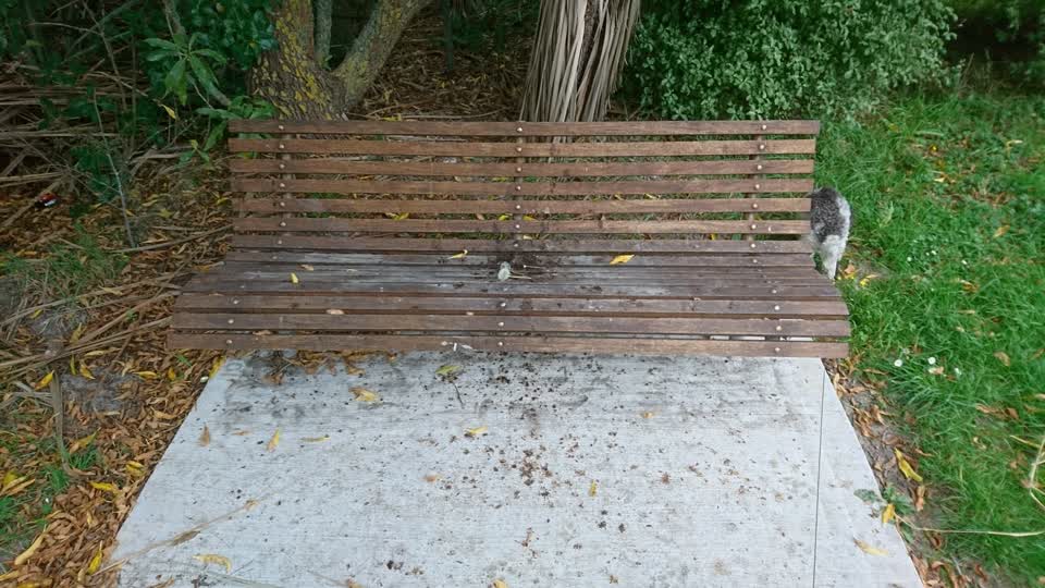 The photograph attached to this parks report