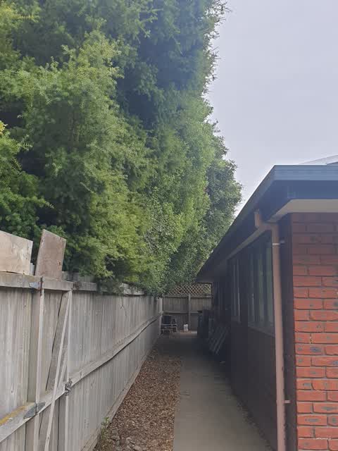 Parks, a report photo