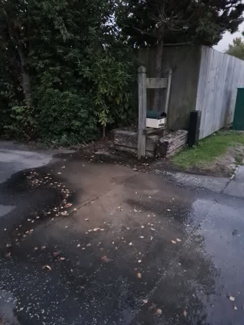 Water Leak, a report photo