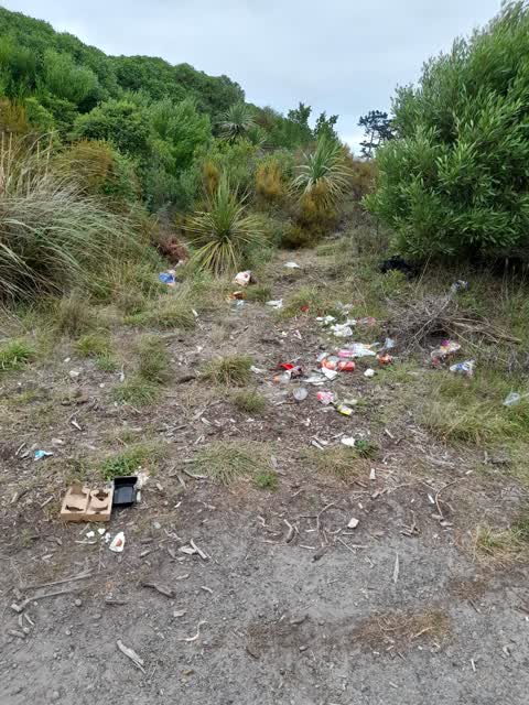 Rubbish/Recycling, a report photo