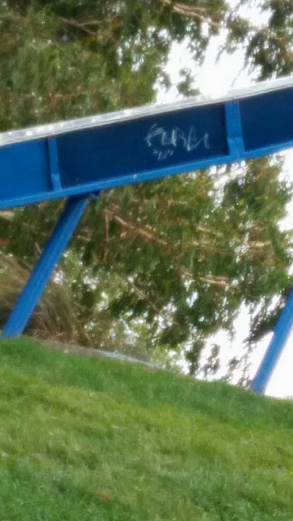 The photograph attached to this graffiti report