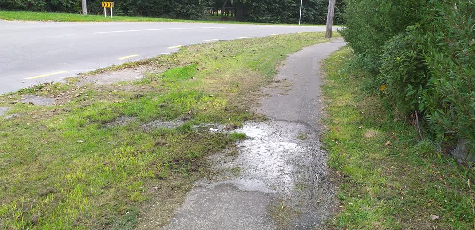 The photograph attached to this water leak report