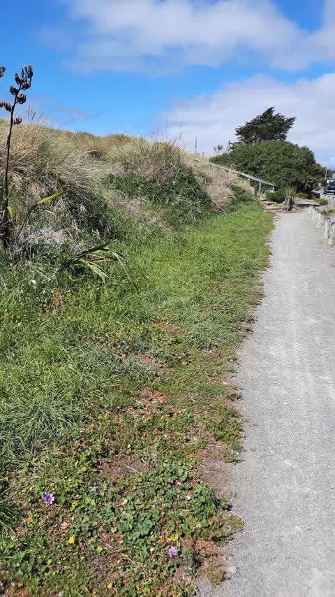Parks, a report photo