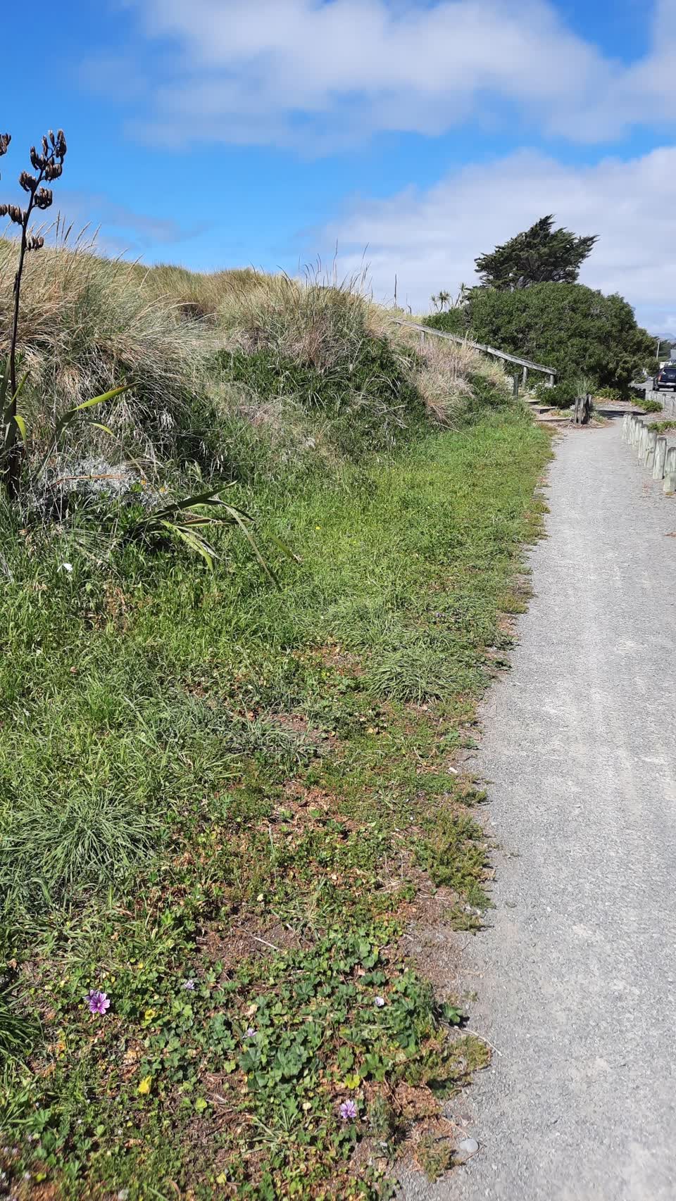 The photograph attached to this parks report