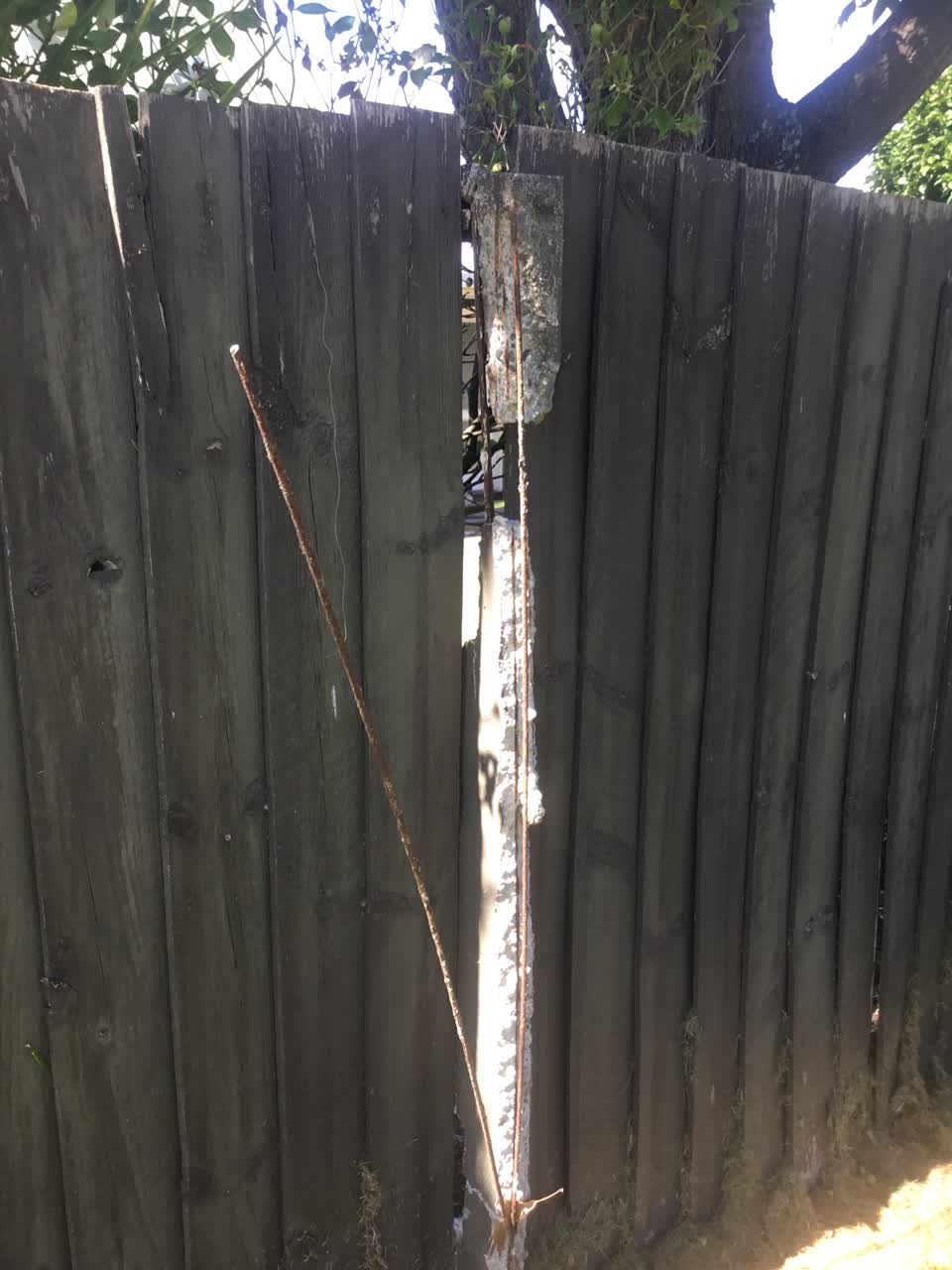 The photograph attached to this parks report