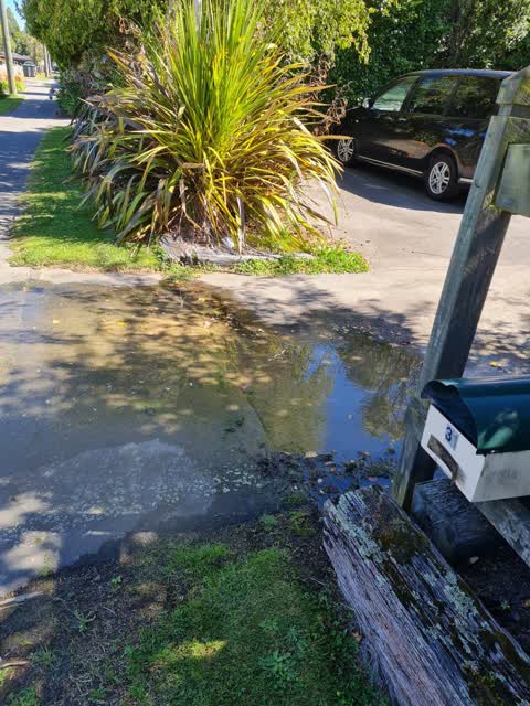 Water Leak, a report photo