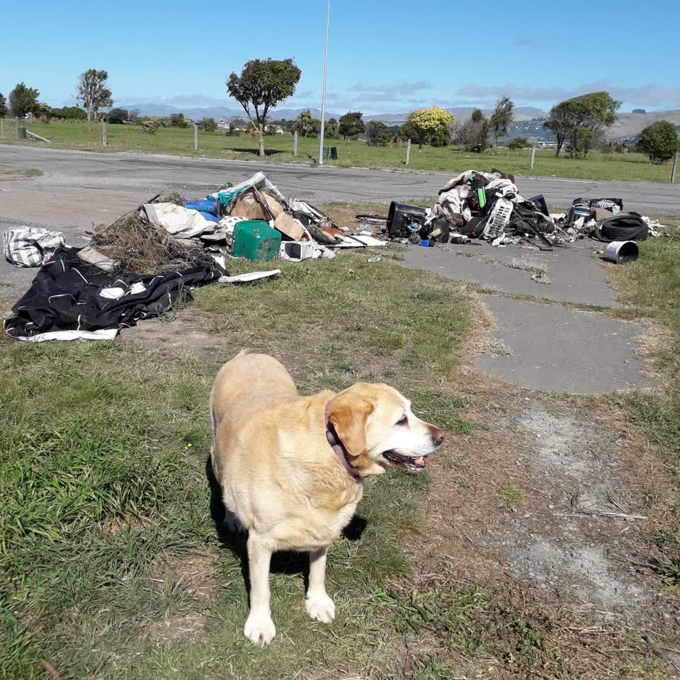 The photograph attached to this rubbish/recycling report