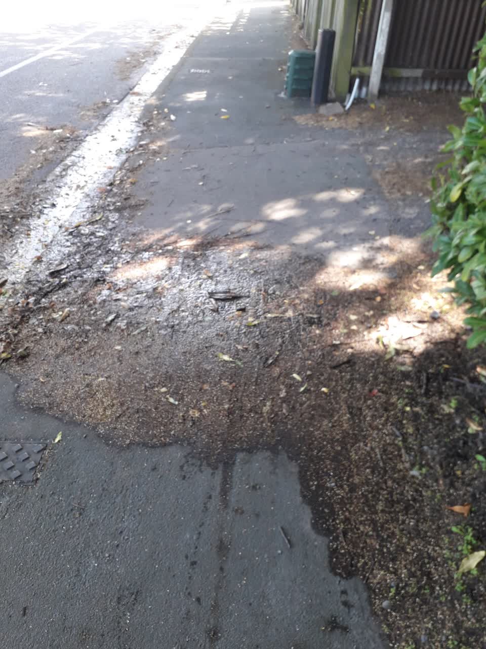 The photograph attached to this water leak report