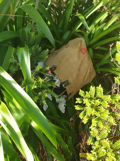 Rubbish/Recycling, a report photo