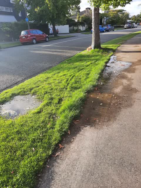 Water Leak, a report photo