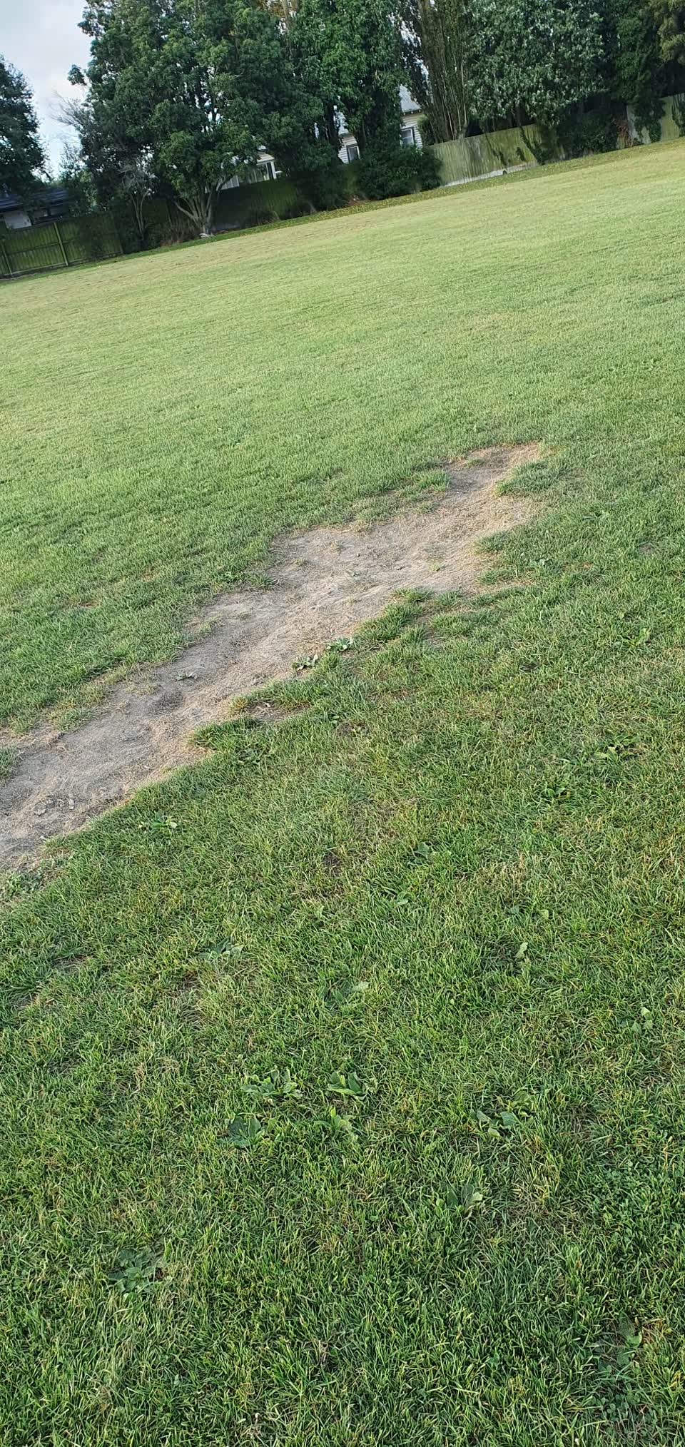 The photograph attached to this parks report