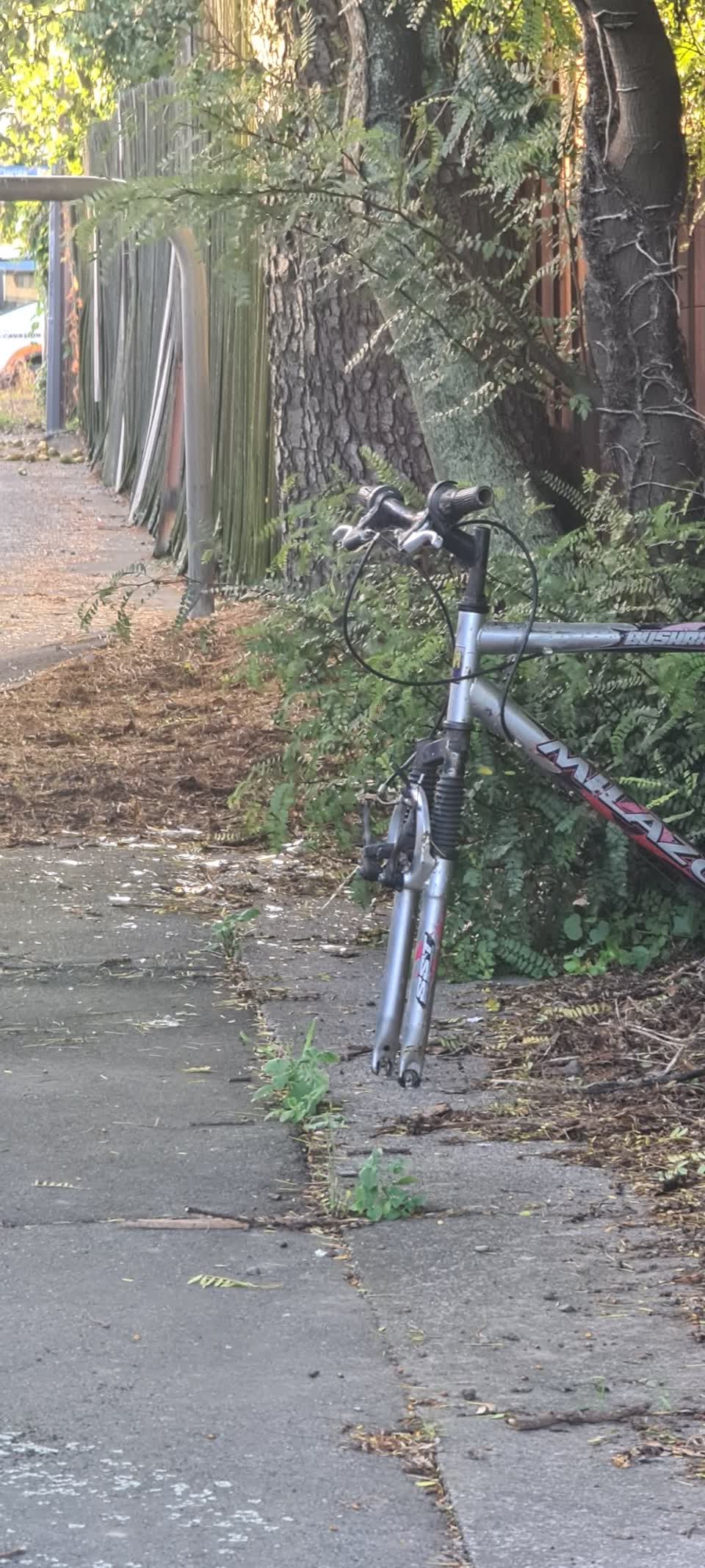 The photograph attached to this roading/streets report