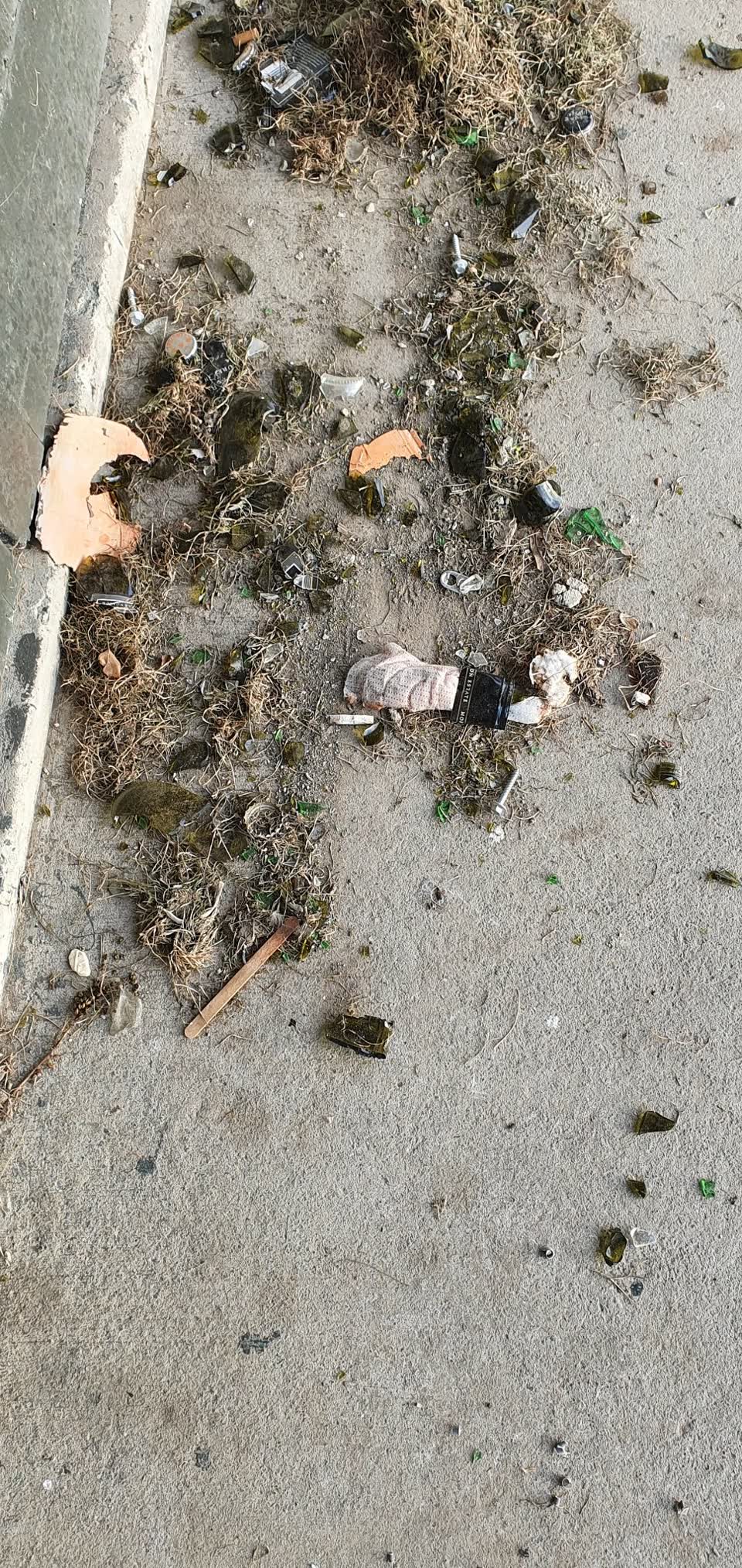 The photograph attached to this rubbish/recycling report