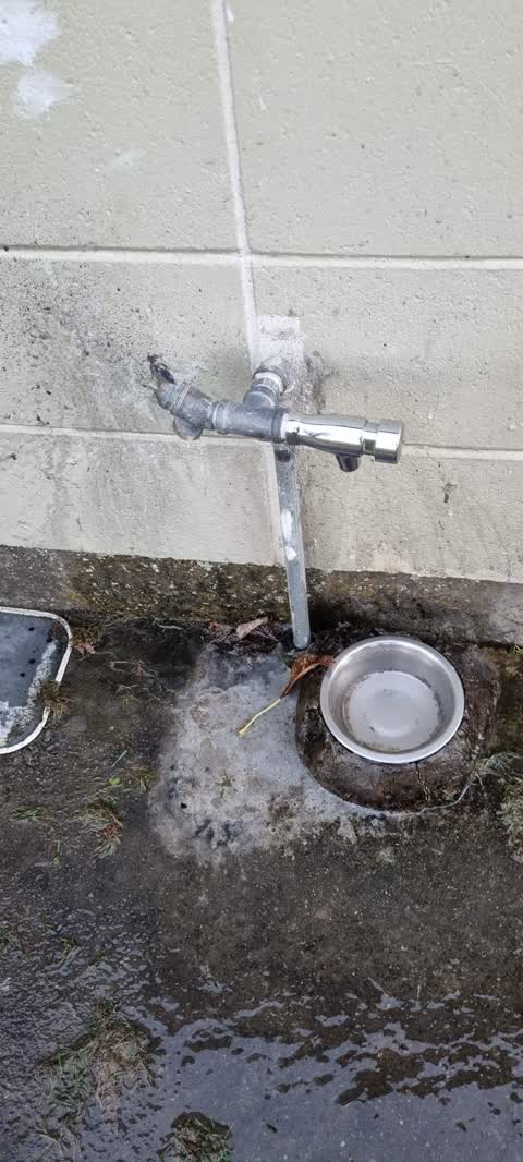 Water Leak, a report photo