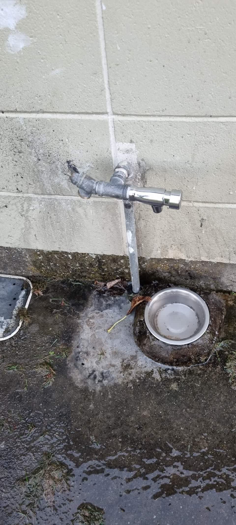 The photograph attached to this water leak report