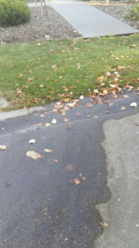 Water Leak, a report photo