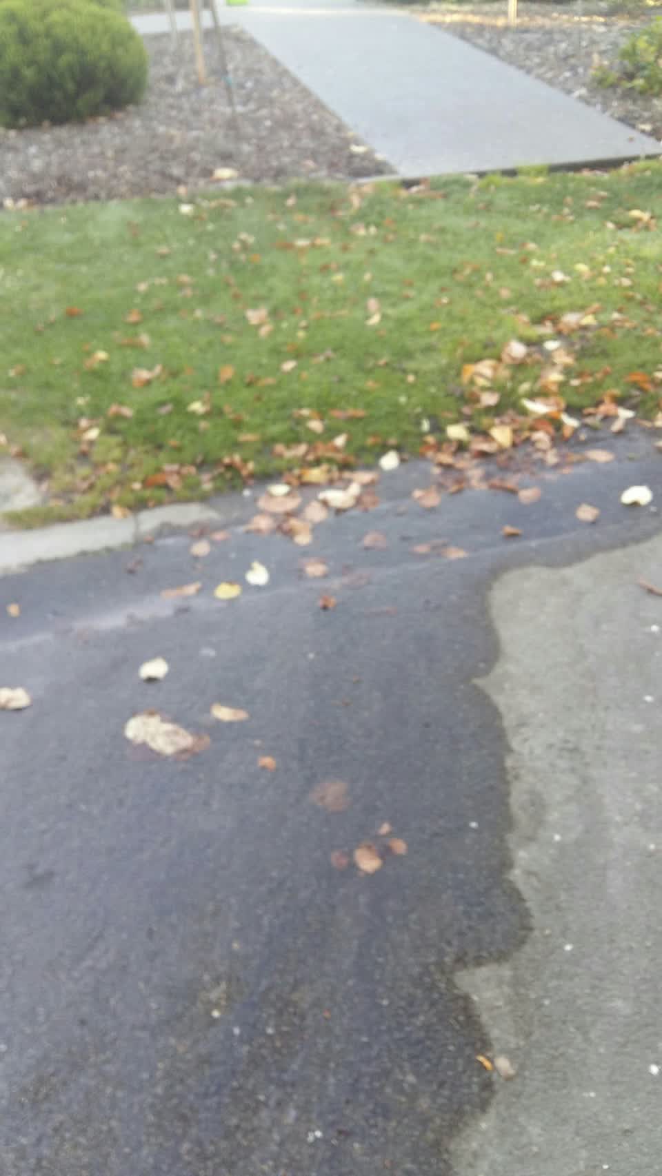 The photograph attached to this water leak report